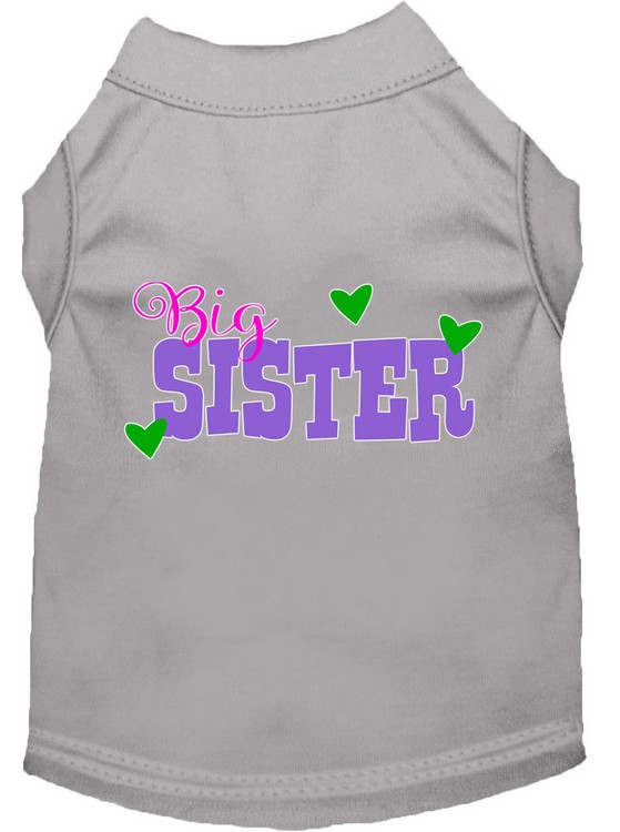 Big Sister Screen Print Dog Shirt Grey Med